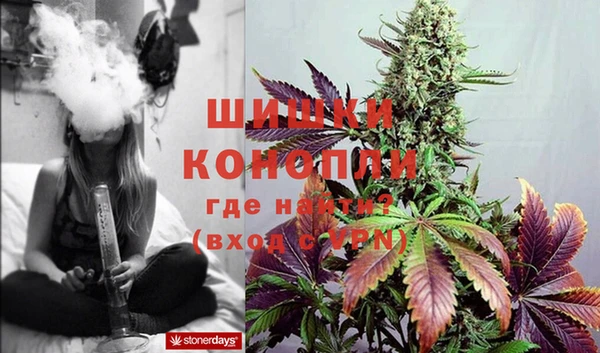 ГАЛЛЮЦИНОГЕННЫЕ ГРИБЫ Дмитров