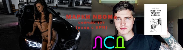 mdpv Ельня