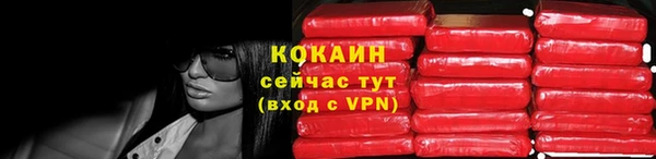 mdpv Ельня