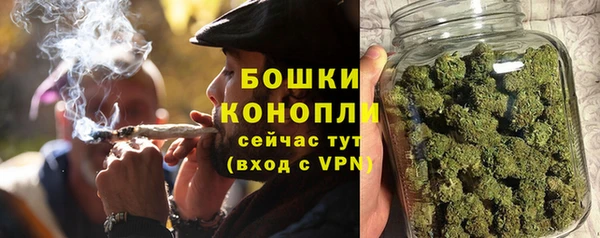 mdpv Ельня