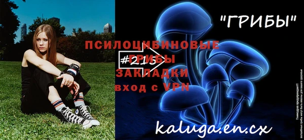 МДПВ Елизово