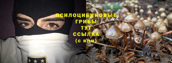 МДПВ Елизово