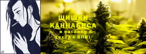 мдпв Дмитровск