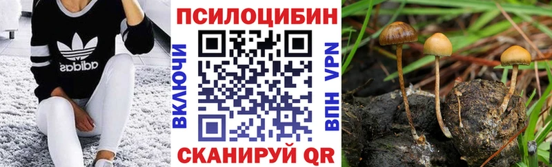 Галлюциногенные грибы Magic Shrooms Купить Морозовск